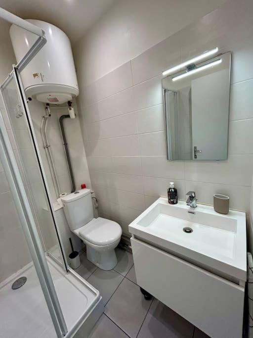 Apartmán Le Douillet, Proche Gare Et Metro Toulouse Exteriér fotografie