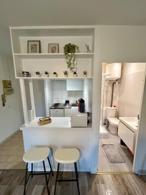 Apartmán Le Douillet, Proche Gare Et Metro Toulouse Exteriér fotografie