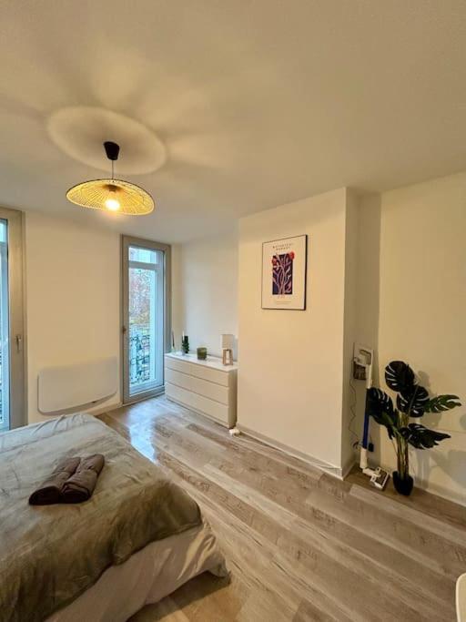 Apartmán Le Douillet, Proche Gare Et Metro Toulouse Exteriér fotografie